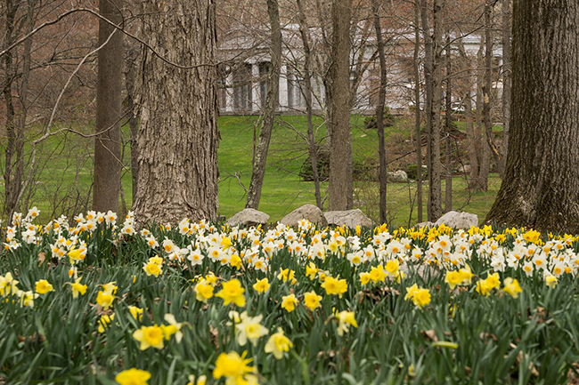 Westchester County, NY Open Day